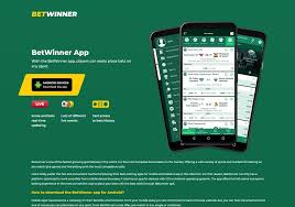 تجربة مميزة مع betwinner كل ما تحتاج لمعرفته حول مراهناتك